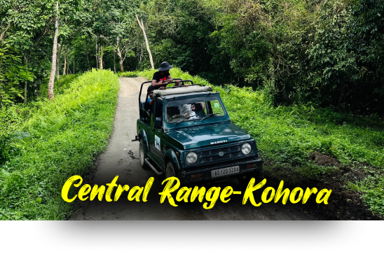Kaziranga National Park