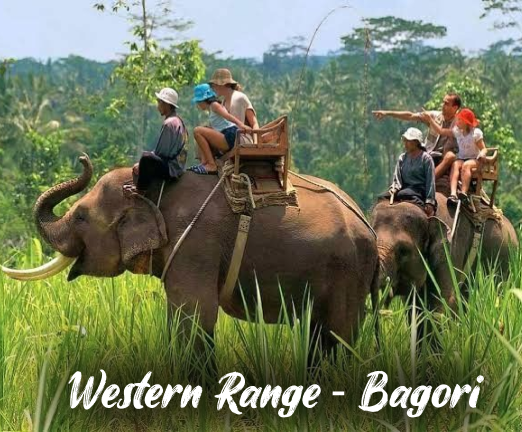 Kaziranga National Park .